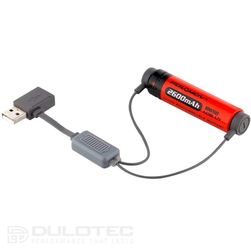 Зарядно устройство Folomov A1 » Dulotec.BG