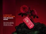 Фенер Fenix E03R V2.0 за ключодържател - червена роза в подаръчна кутия » Dulotec.BG