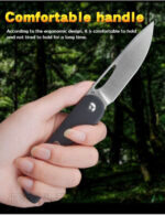 Сгъваем нож D2 G-10 CH KNIVES 3015 Black » Dulotec.BG