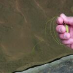 Паракорд за оцеляване Atwood Rope Parapocalypse 15м » Dulotec.BG